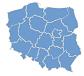 Wizualizacja wyborów-Polska 